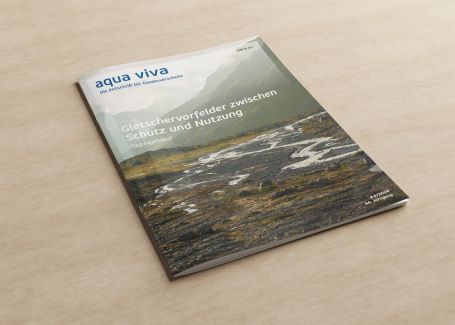 Sehr kleiner See mit Grasinseln und Gras herum, im Hintergrund Berge. Der wolkige Himmel spiegelt sich im See.